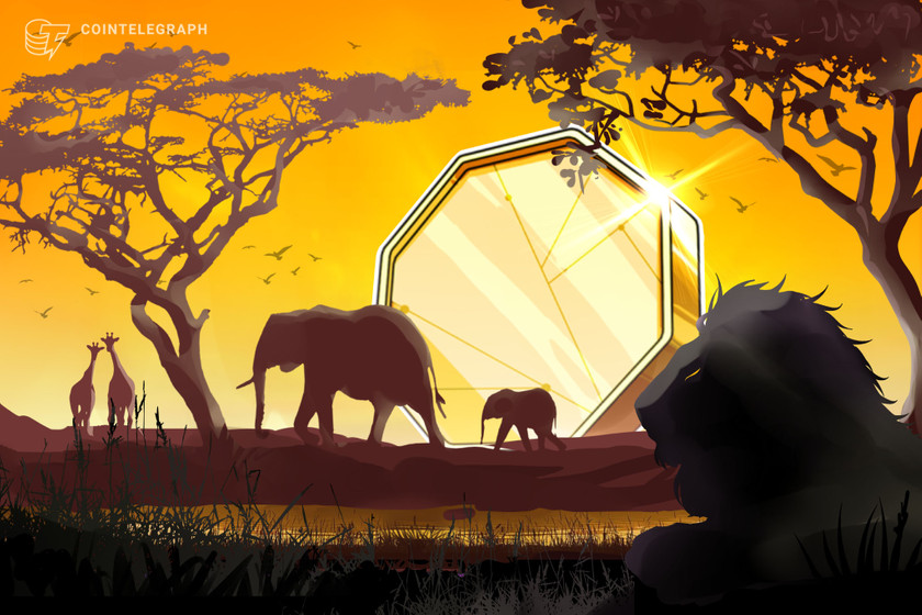 African traders least likely to fall for crypto scams: Chainalysis