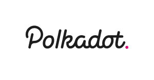 polkadot network image