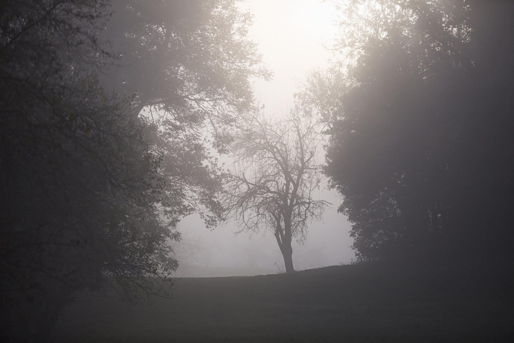 This Textbook Signal Predicts Ethereum Has Room to Drop After 35% Correction