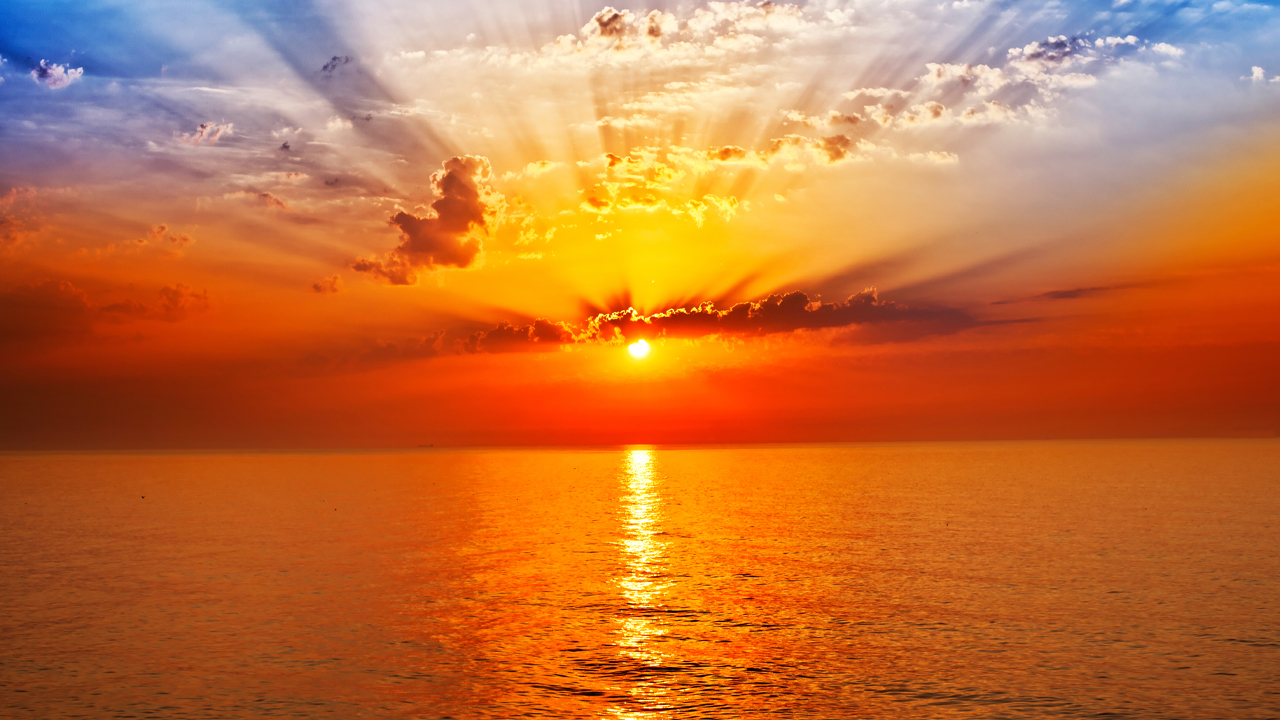 The Genesis of BCH Tokenization: Over 10,000 SLP Tokens Built on Bitcoin Cash