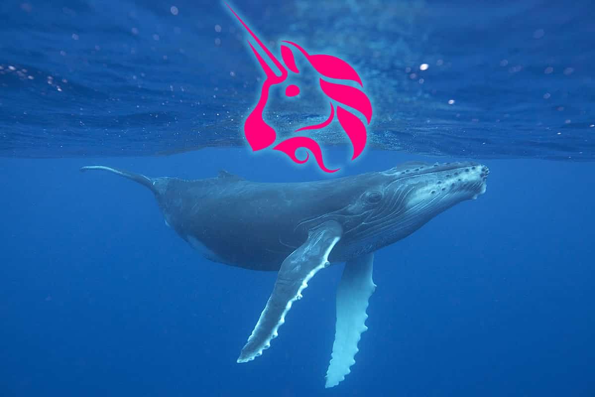 Uniswap Governance Vote Raises Centralization Questions