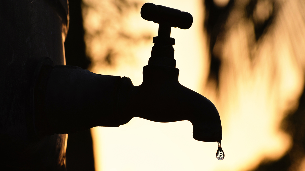 Visual Interpretation of Bitcoin’s Supply Shows the Digital Asset’s Unique Scarcity