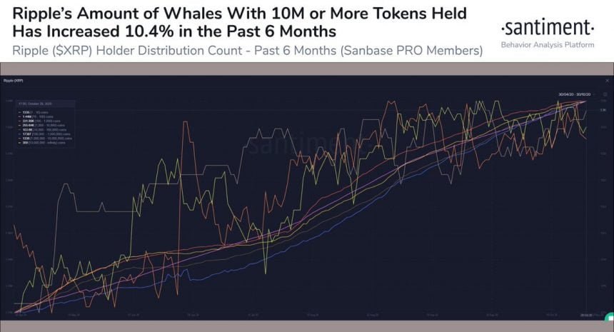 XRP